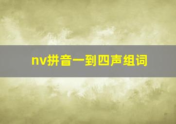 nv拼音一到四声组词