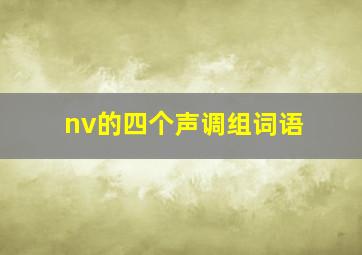 nv的四个声调组词语