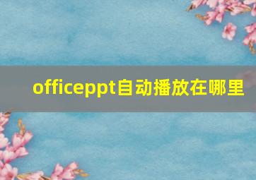 officeppt自动播放在哪里