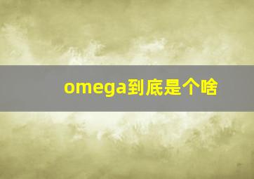 omega到底是个啥