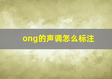 ong的声调怎么标注