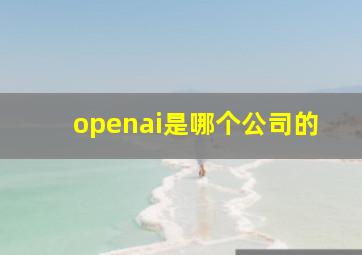 openai是哪个公司的