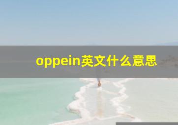 oppein英文什么意思