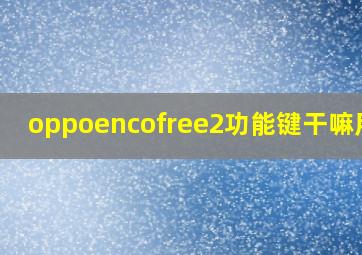 oppoencofree2功能键干嘛用的