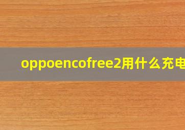 oppoencofree2用什么充电器