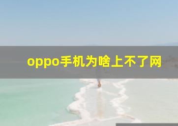 oppo手机为啥上不了网