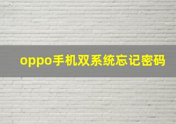 oppo手机双系统忘记密码