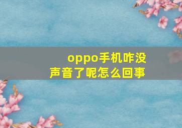 oppo手机咋没声音了呢怎么回事