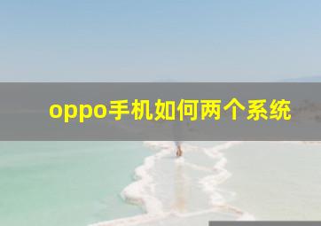 oppo手机如何两个系统