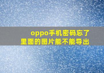 oppo手机密码忘了里面的图片能不能导出