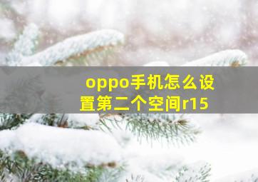 oppo手机怎么设置第二个空间r15