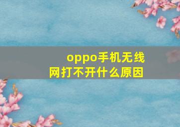 oppo手机无线网打不开什么原因