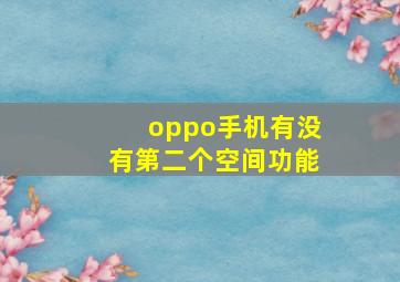 oppo手机有没有第二个空间功能