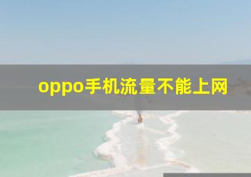 oppo手机流量不能上网