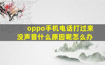 oppo手机电话打过来没声音什么原因呢怎么办