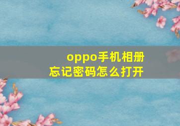 oppo手机相册忘记密码怎么打开