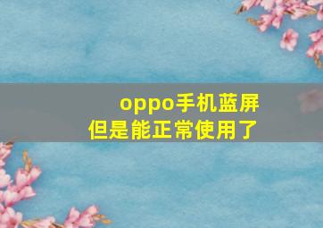 oppo手机蓝屏但是能正常使用了