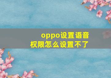 oppo设置语音权限怎么设置不了