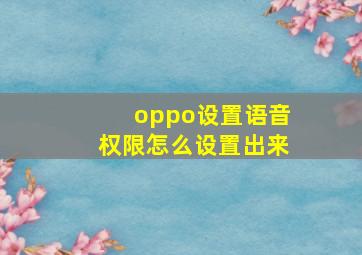 oppo设置语音权限怎么设置出来