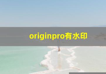 originpro有水印