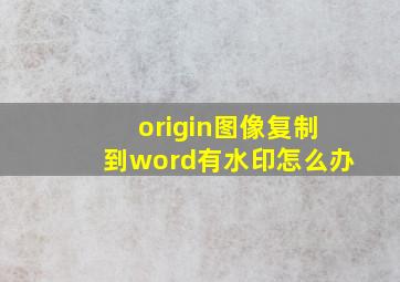 origin图像复制到word有水印怎么办