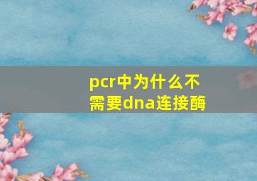 pcr中为什么不需要dna连接酶