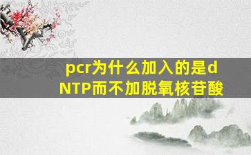 pcr为什么加入的是dNTP而不加脱氧核苷酸