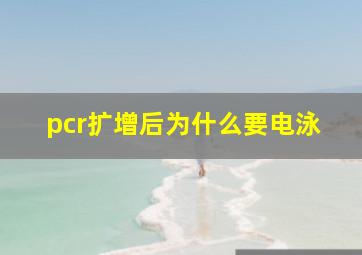 pcr扩增后为什么要电泳