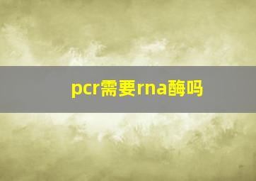 pcr需要rna酶吗