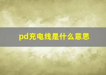 pd充电线是什么意思