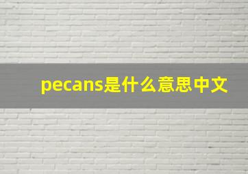 pecans是什么意思中文