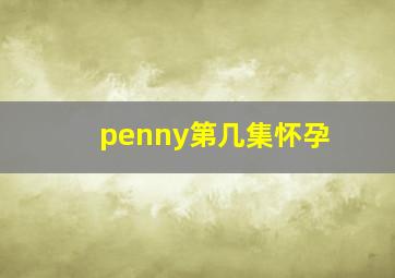 penny第几集怀孕