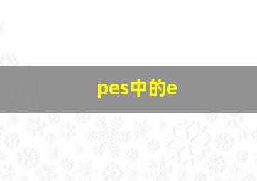 pes中的e