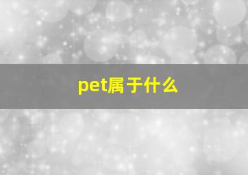 pet属于什么