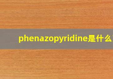 phenazopyridine是什么药