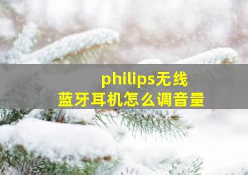 philips无线蓝牙耳机怎么调音量