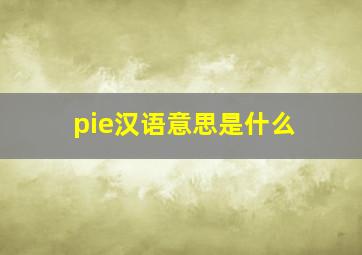 pie汉语意思是什么