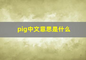 pig中文意思是什么