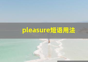 pleasure短语用法