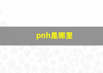 pnh是哪里