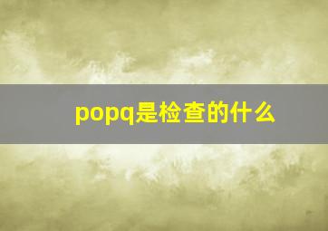 popq是检查的什么