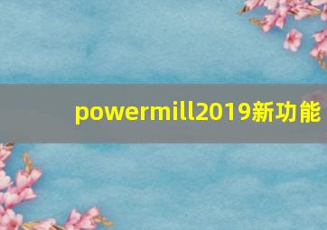 powermill2019新功能