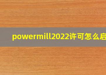 powermill2022许可怎么启动