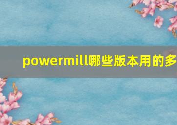 powermill哪些版本用的多