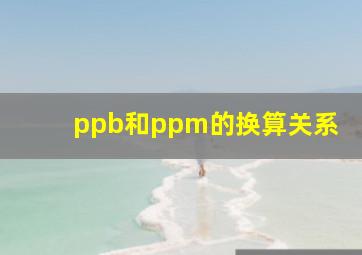 ppb和ppm的换算关系