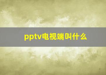 pptv电视端叫什么