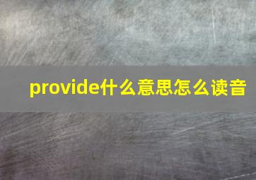 provide什么意思怎么读音