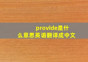 provide是什么意思英语翻译成中文