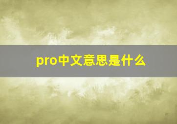 pro中文意思是什么