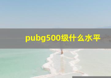 pubg500级什么水平